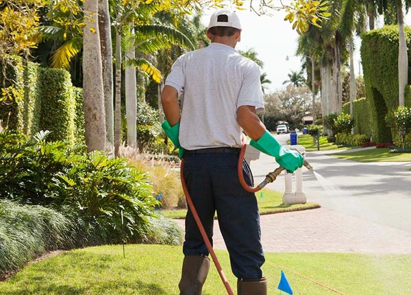 About Lawrence Township NJ Pest Control Pros